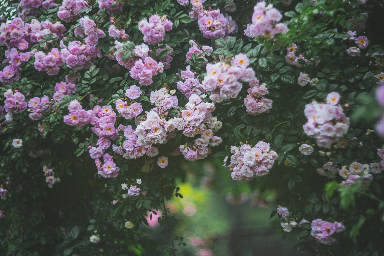 Гороскоп на 7 апреля: Бодрость лучше направить на завершение начатого Мария Смитюк, ИА PrimaMedia