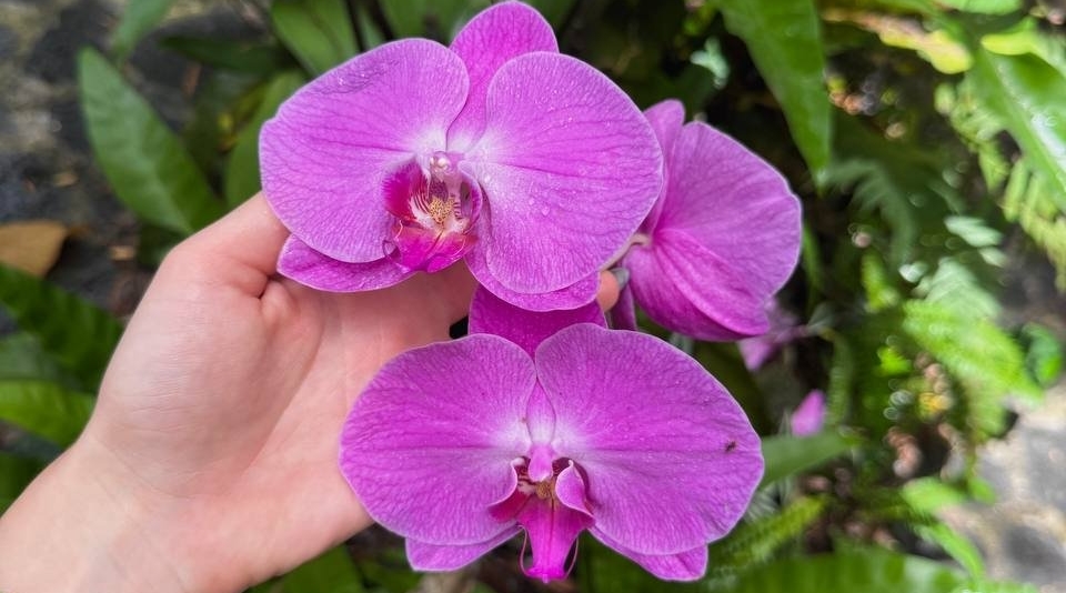 Тематическое фото ИА SevastopolMedia