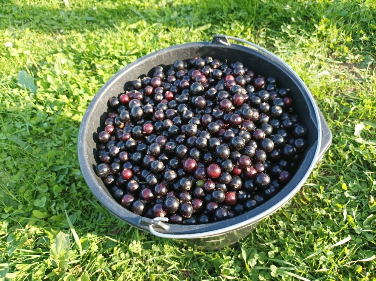 Тематическое фото Фото автора