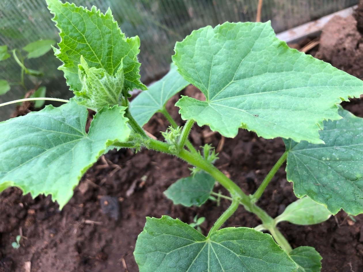 Тематическое фото Артем Дубенчук