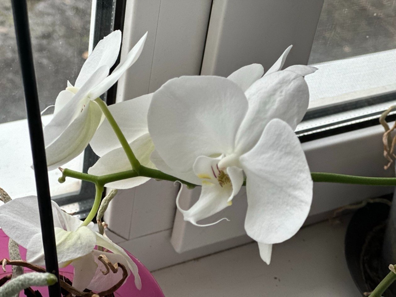 Тематическое фото ИА Stavropol.Media