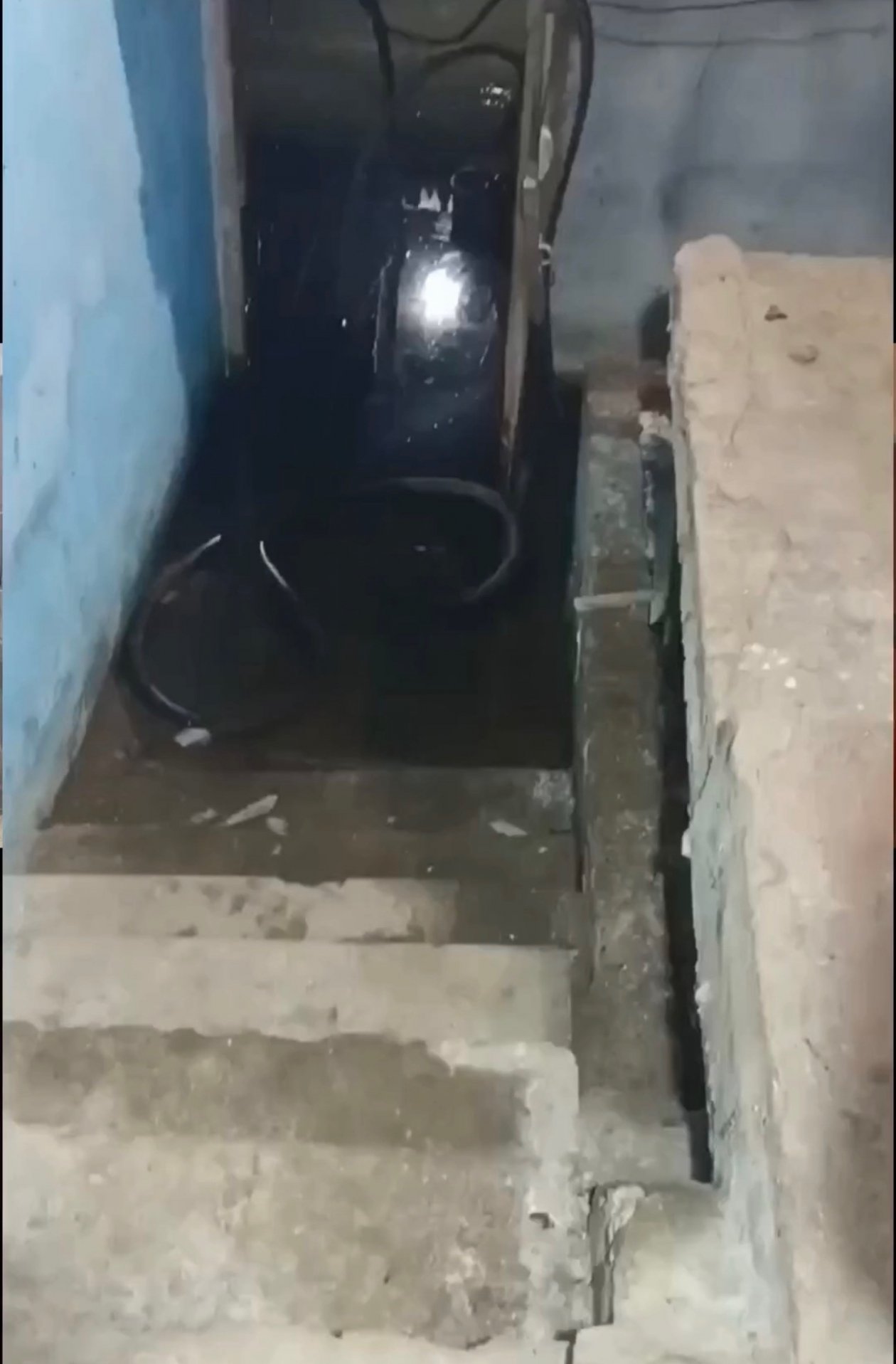 Подвал Народный Фронт Забайкалья