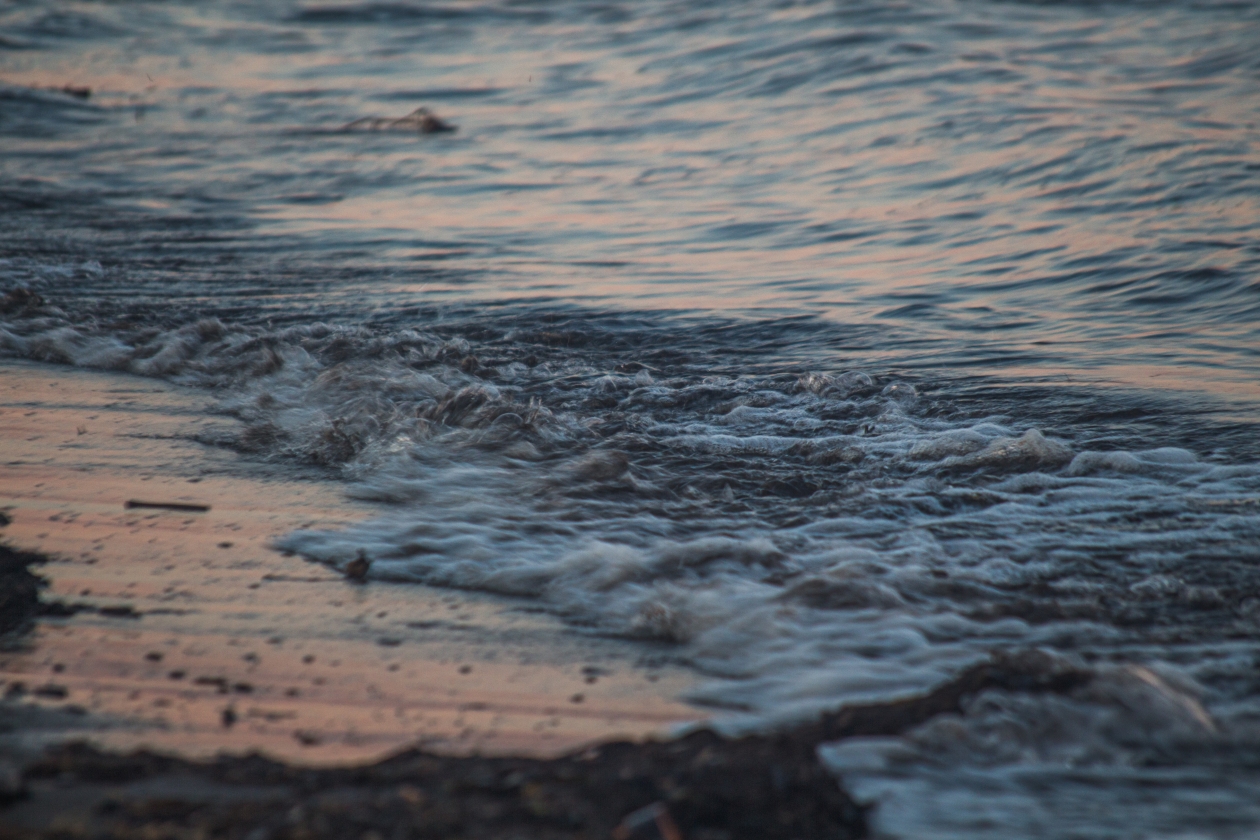 Мальдивы идут мимо - нашла остров с мягким песком и свежей едой - летим с мая Владислав Беляцкий, ИА SakhalinMedia