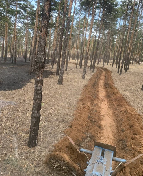 В леса закрыли вход мэрия Улан-Удэ