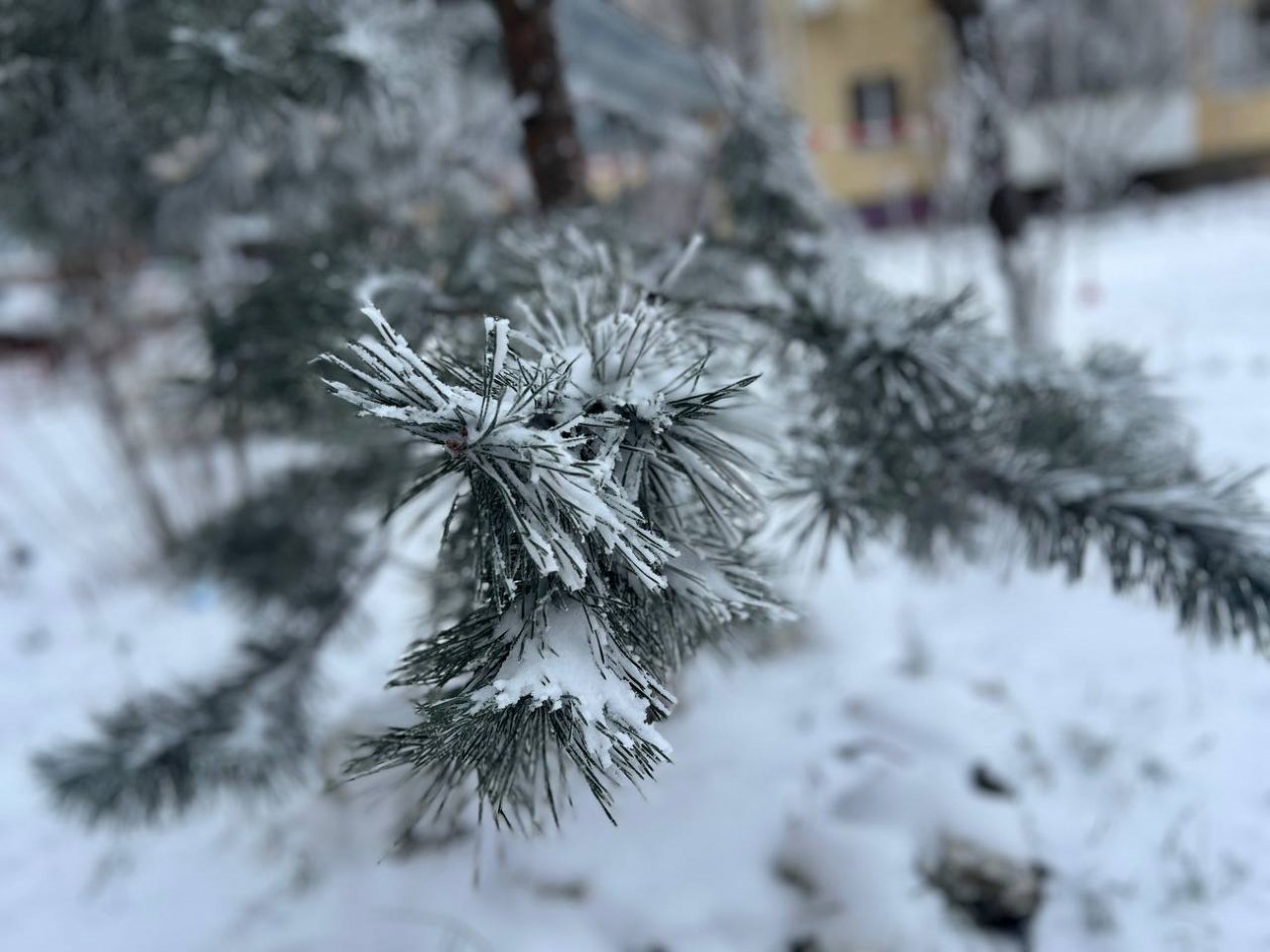 Тематическое фото ИА Stavropol.Media