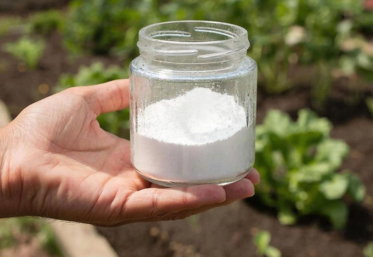 Тематическая иллюстрация Создано при помощи ИИ