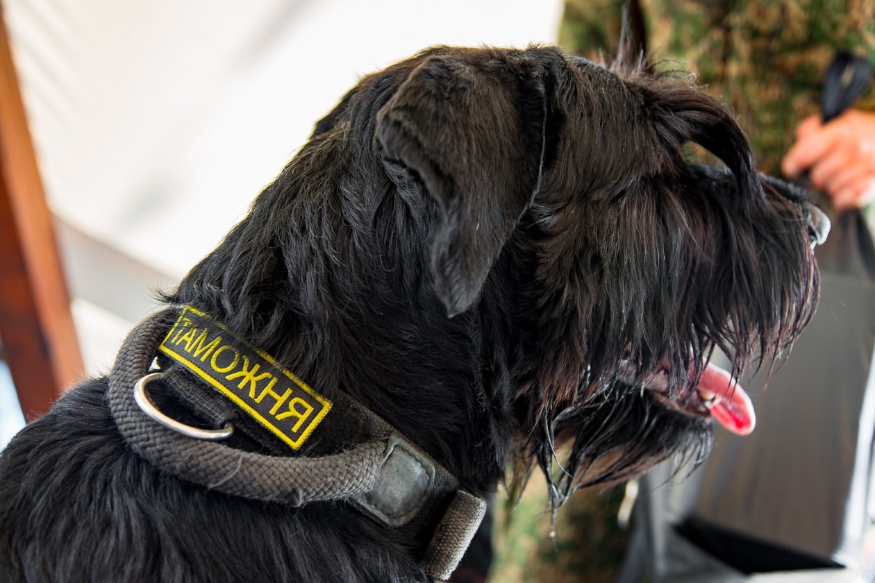 Тематическая фотография Илья Аверьянов, ИА PrimaMedia.ru