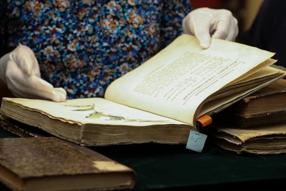 Пресс-служба министерства культуры Хабаровского края