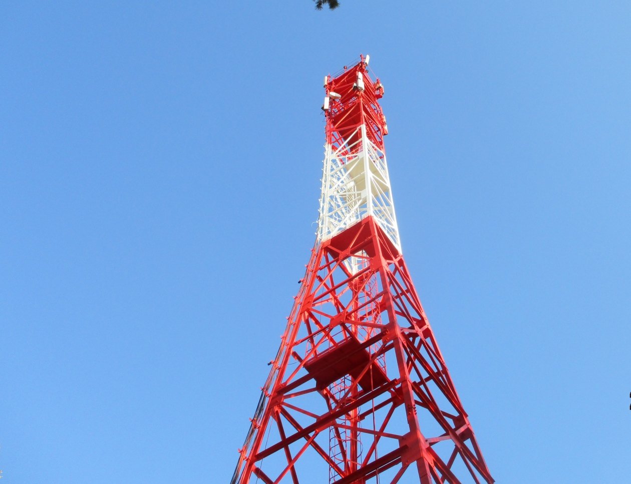 МТС разогнала LTE для будущих учеников и педагогов &quotТочки будущего&quot МТС