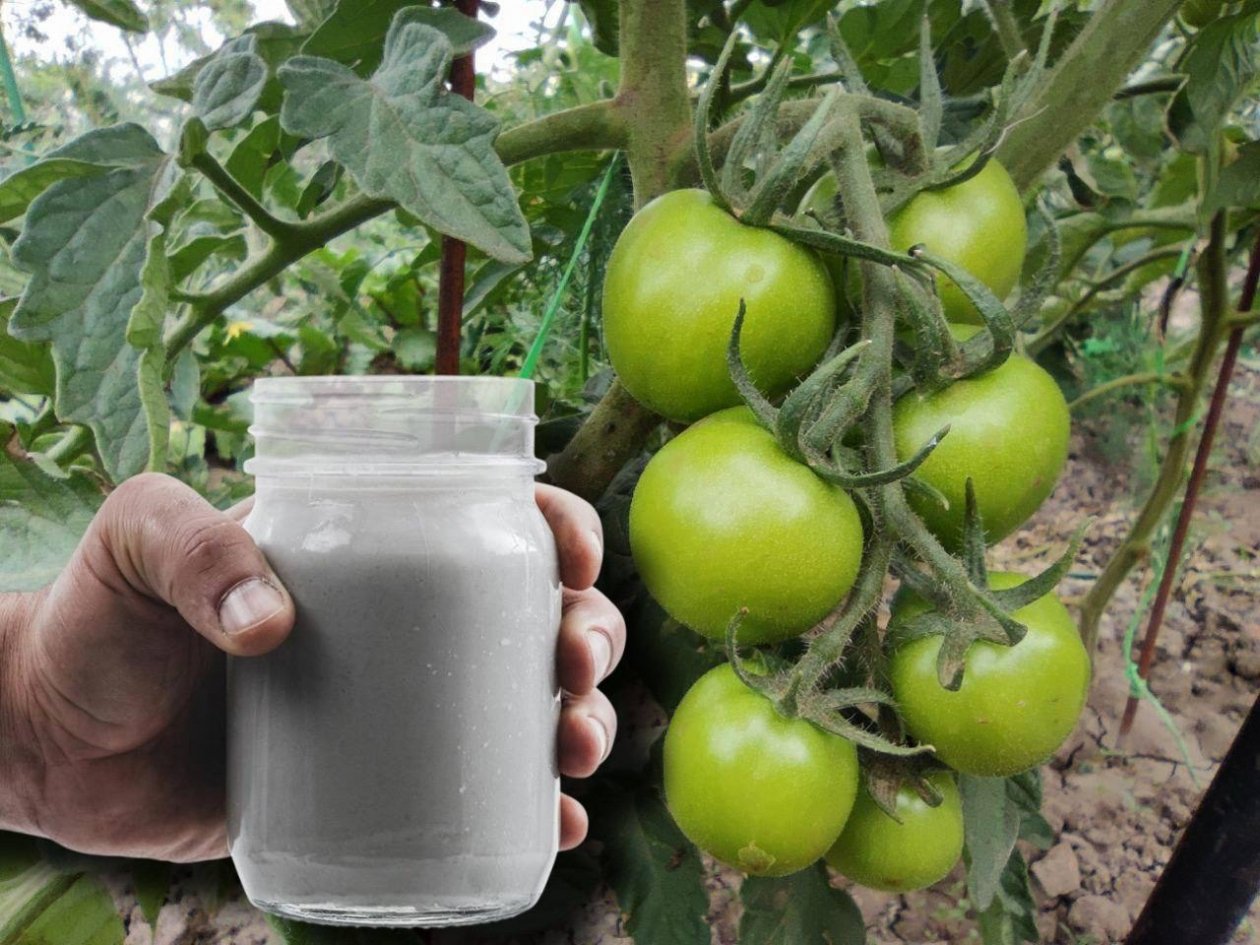 Тематическое фото ИА KrasnodarMedia, ИИ GigaChat (18+)