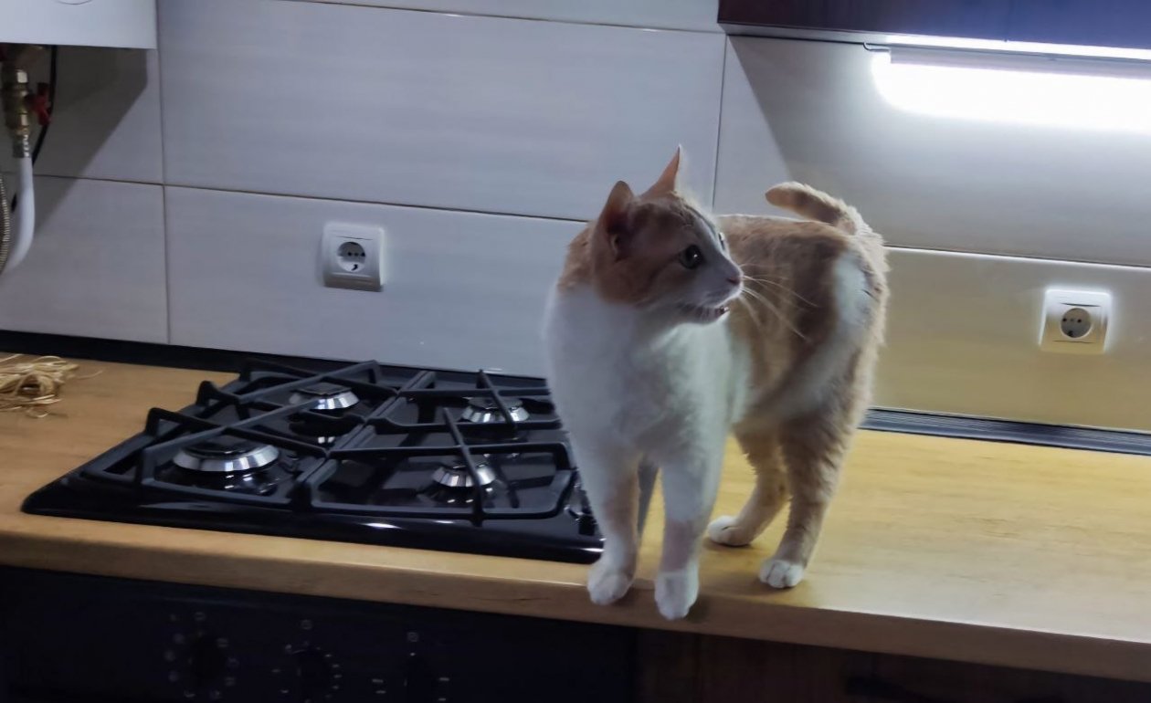 Тематическое фото ИА SevastopolMedia