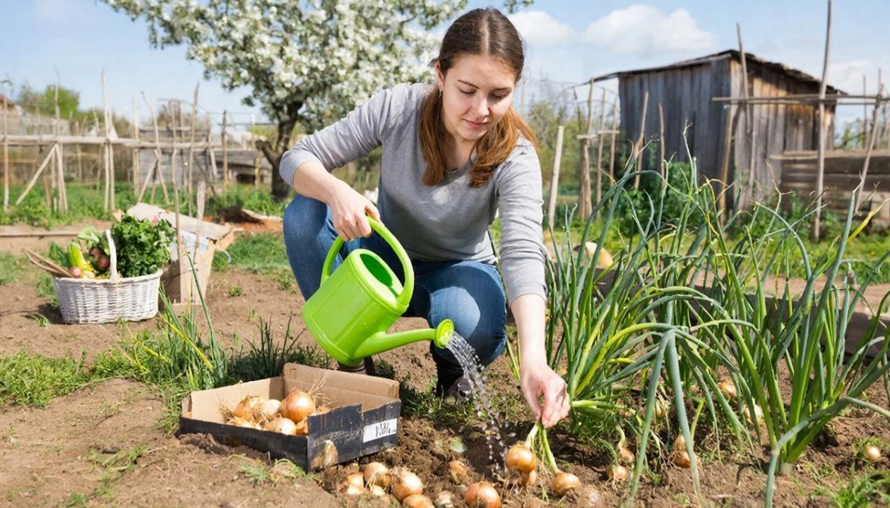 Тематическое фото Создано при помощи ИИ