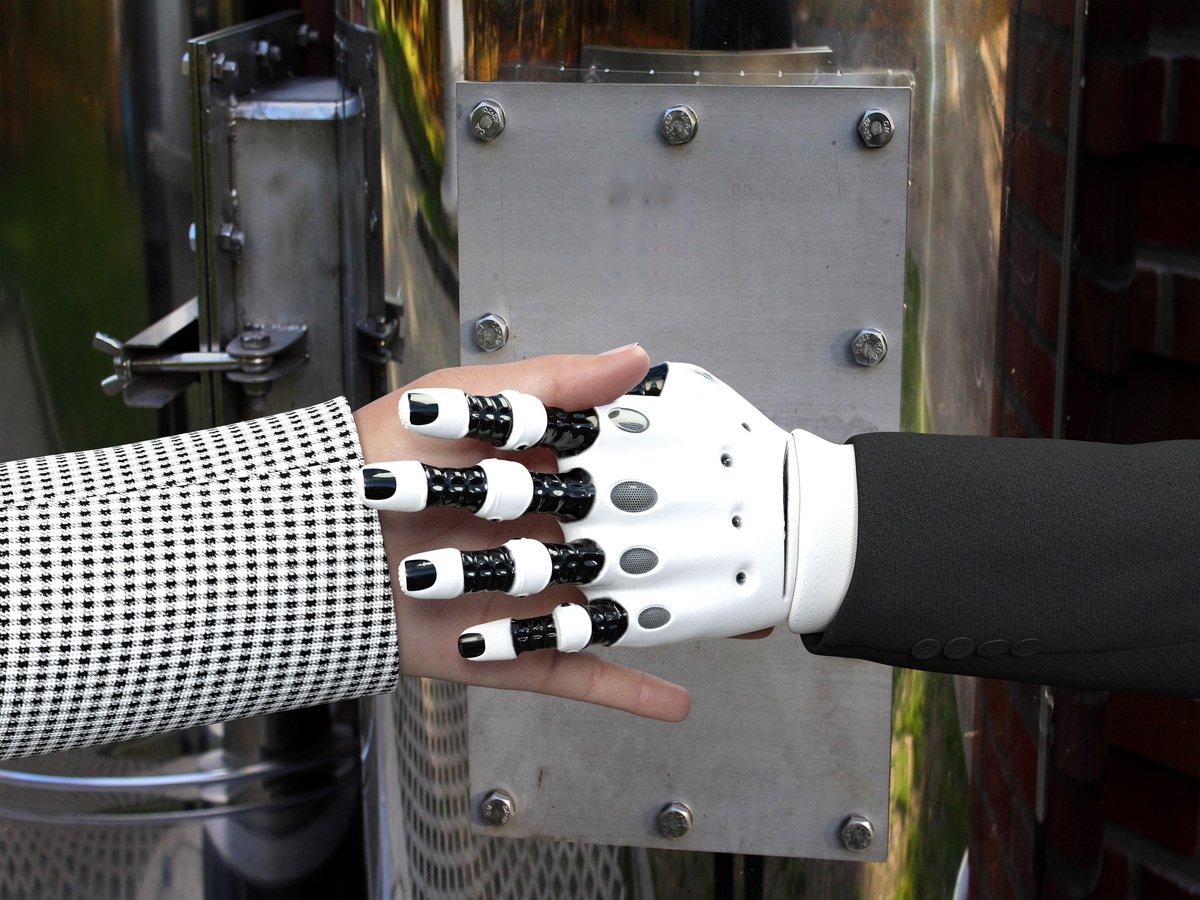 Тематическая иллюстрация https://pxhere.com/