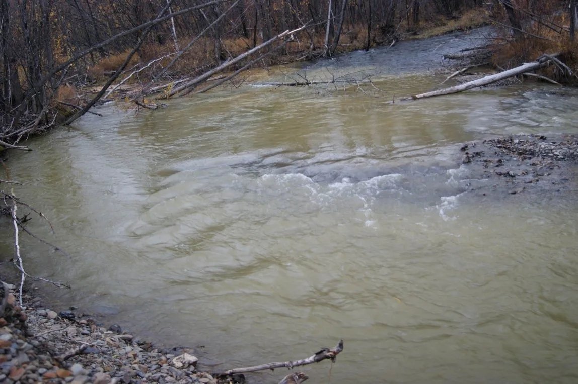 Амурская бассейновая природоохранная прокуратура