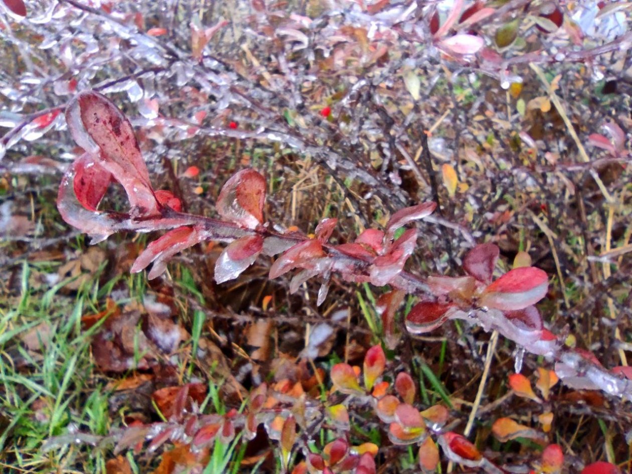 Тематическое фото ИА Stavropol.Media