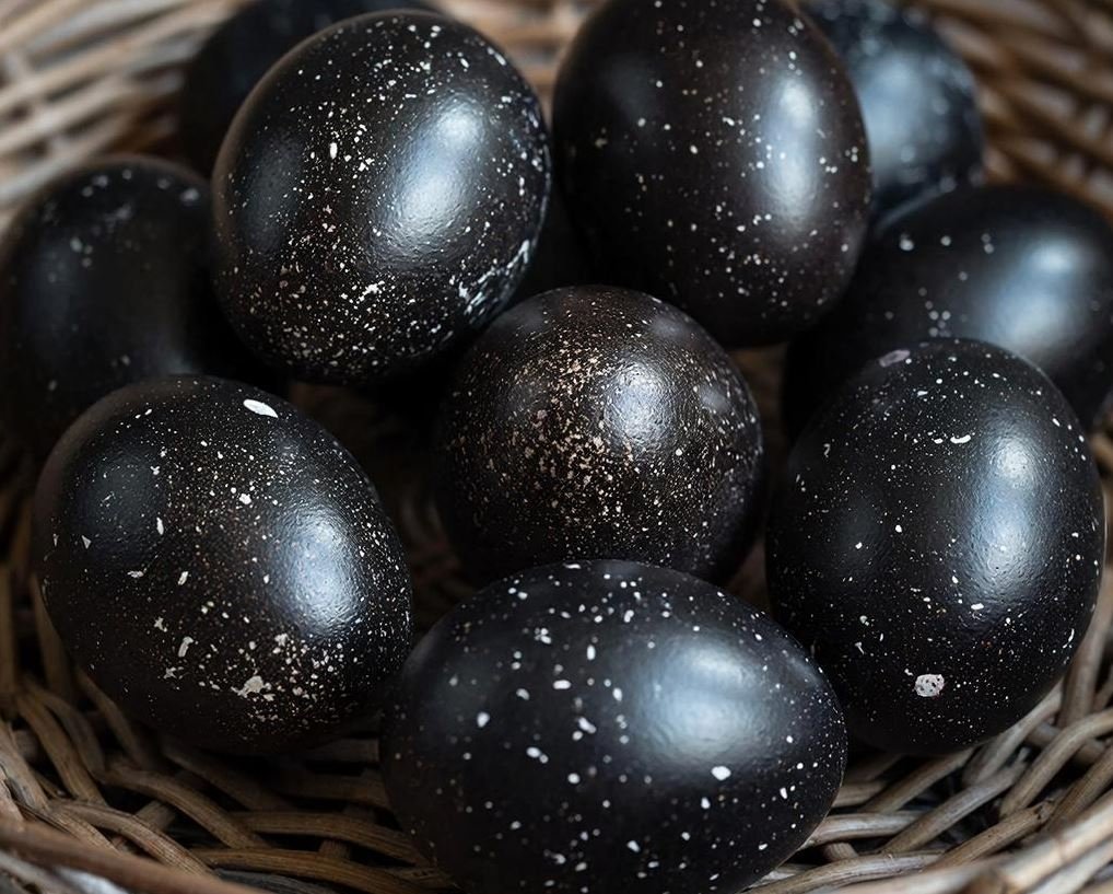 Тематическая иллюстрация Создано при помощи ИИ