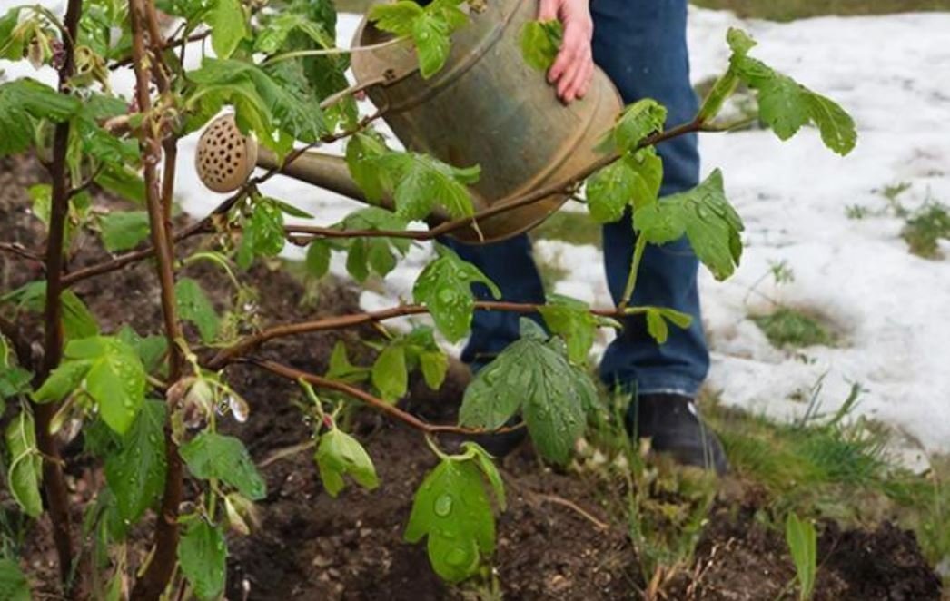Тематическая иллюстрация Создано при помощи ИИ