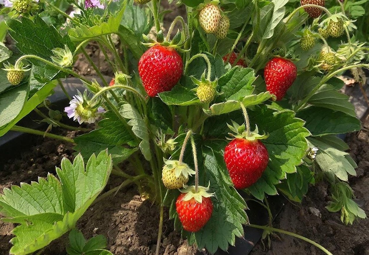 Тематическое фото Создано при помощи ИИ.