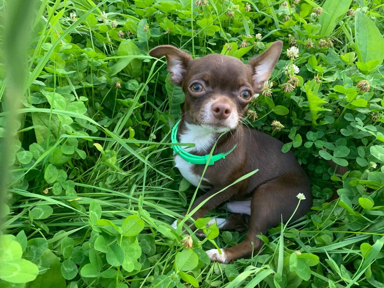 Тематическое фото ИА Stavropol.Media