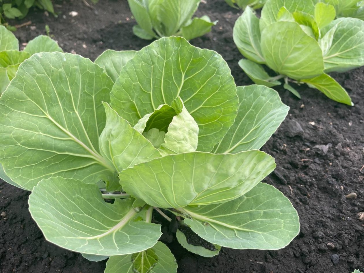 Тематическое фото Автора