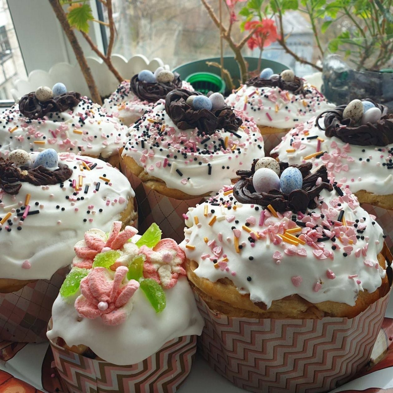 Куличи Яна Щеголихина, ИА KamchatkaMedia