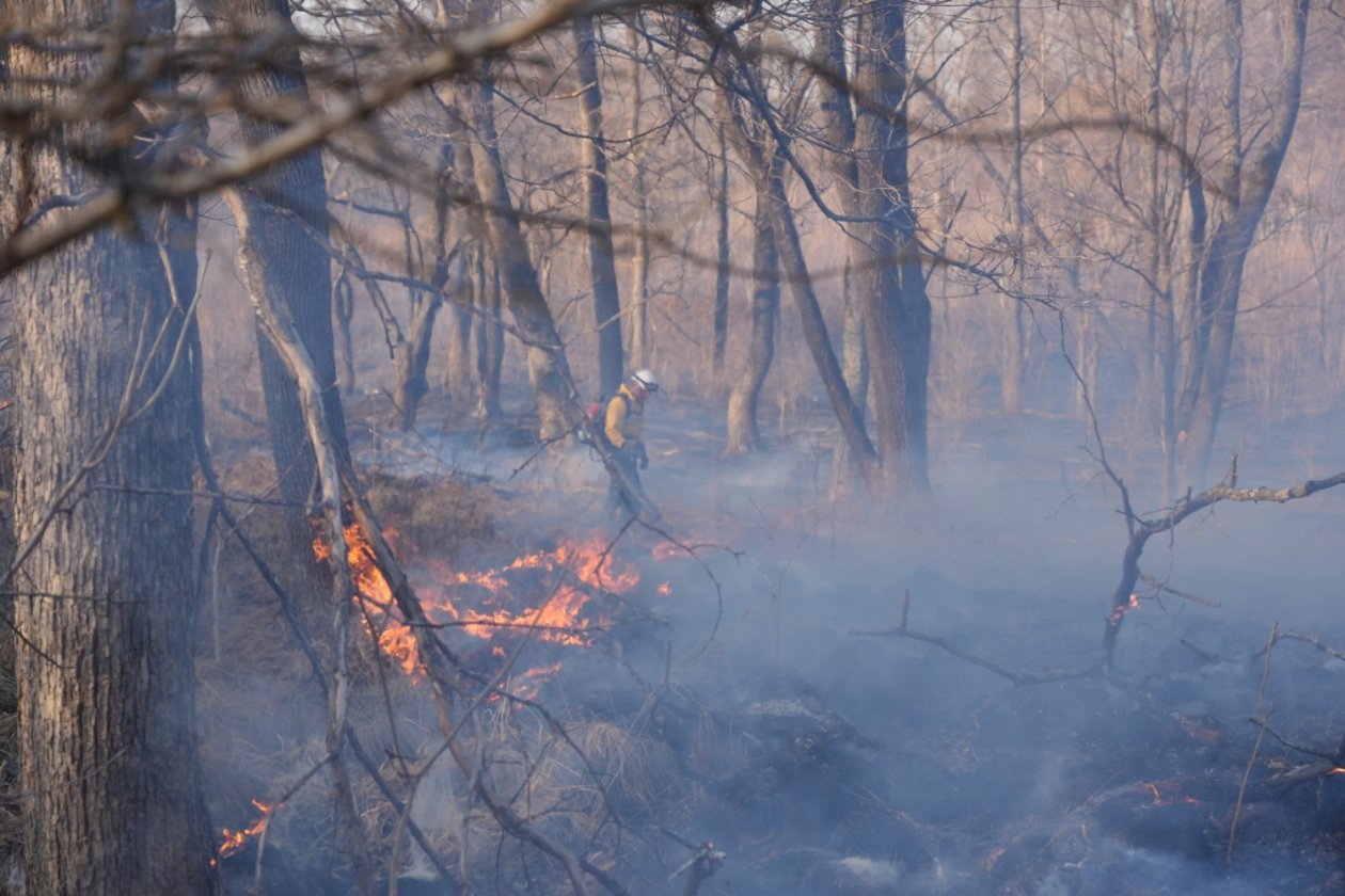 Восемь пожаров ликвидировали спасатели Приморья за сутки пресс-служба Министерства лесного хозяйства, охраны окружающей среды, животного мира и природных ресурсов Приморья