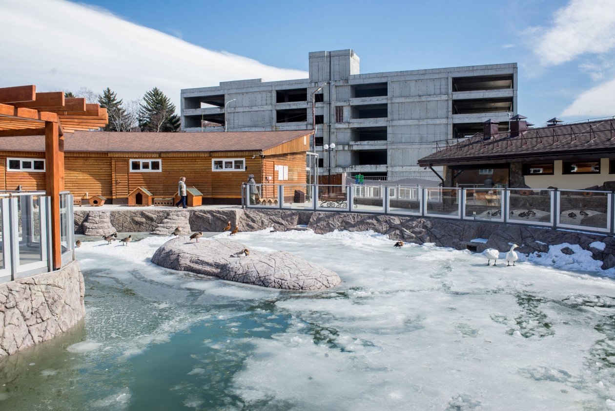 Новый комплекс для водоплавающих птиц открыли в Сахалинском зоопарке пресс-служба Сахалинского зооботанического парка