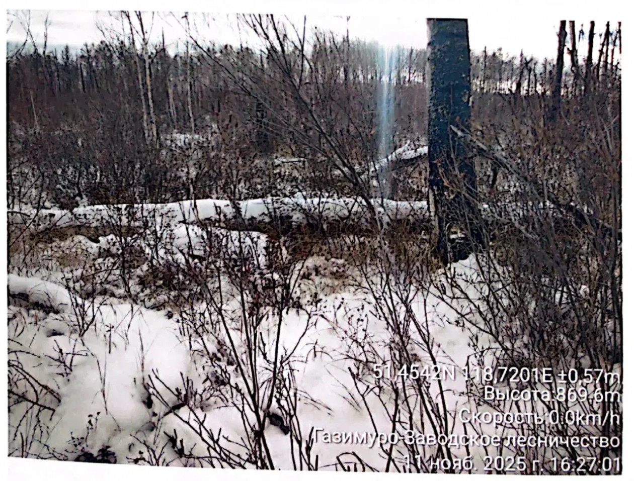 Лес Канал МАХ (6+) прокуратуры Забайкалья