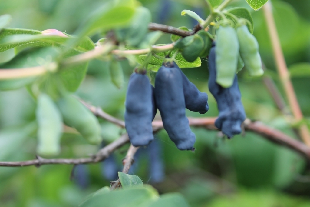 Тематическое фото ИА PrimaMedia