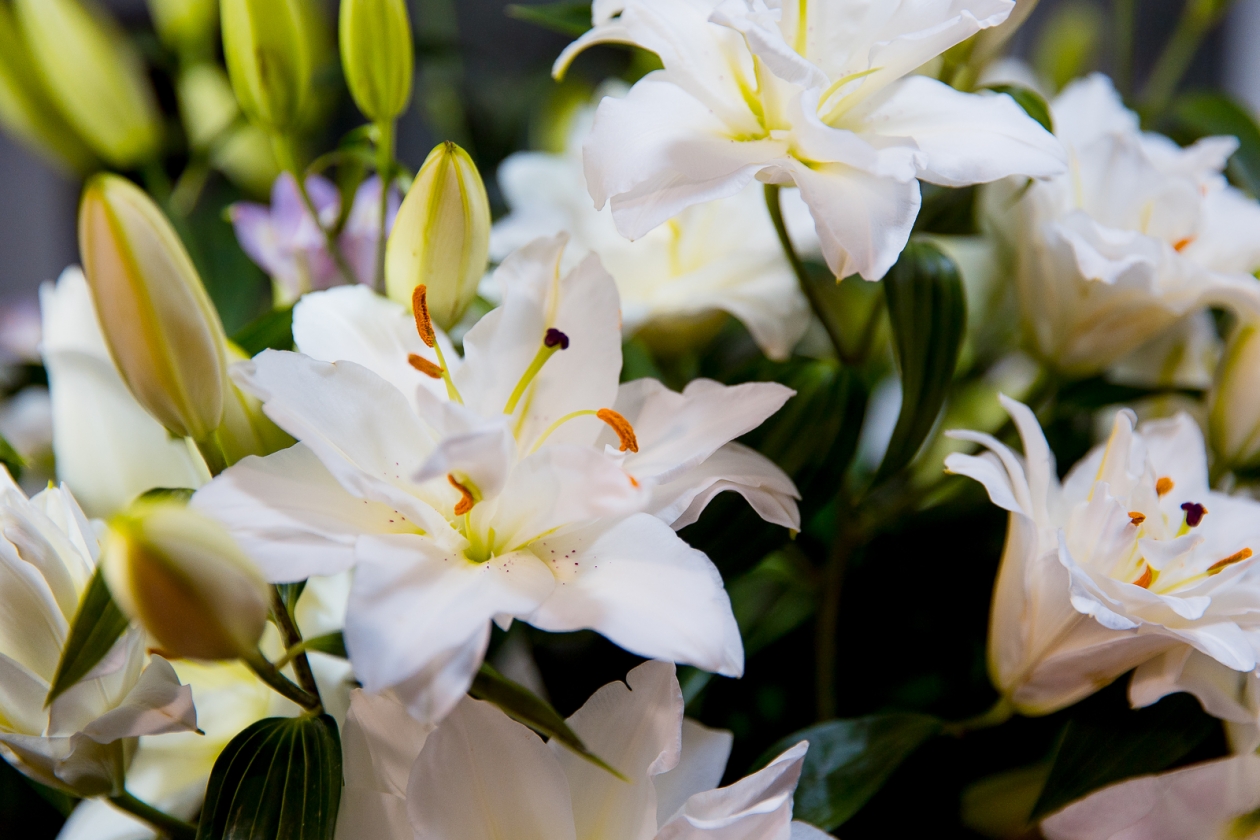 Тематическое фото ИА OmskMedia