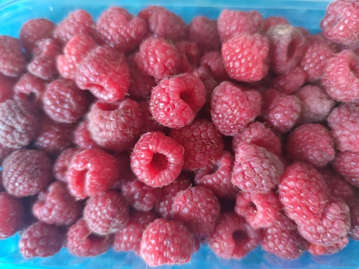 Тематическое фото ИА KrasnodarMedia