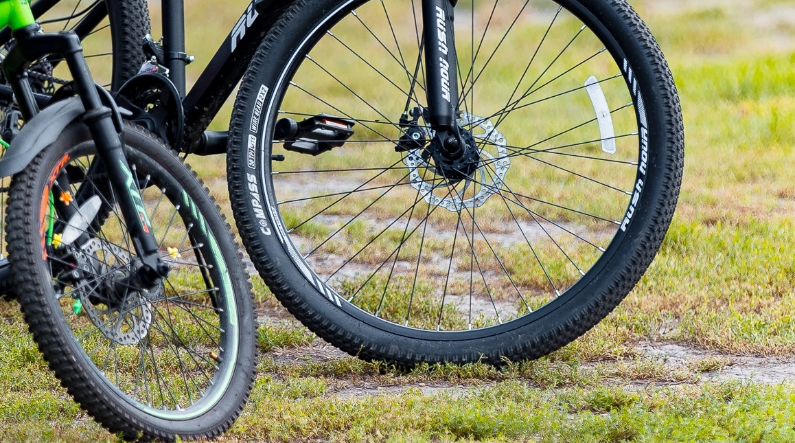 Тематическое фото Илья Аверьянов, ИА PrimaMedia