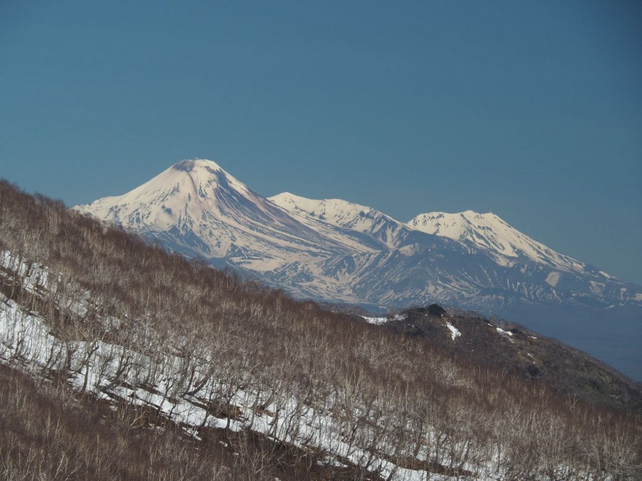 Вид на Авачинский вулкан Елена Поддубная ИА KamchatkaMedia