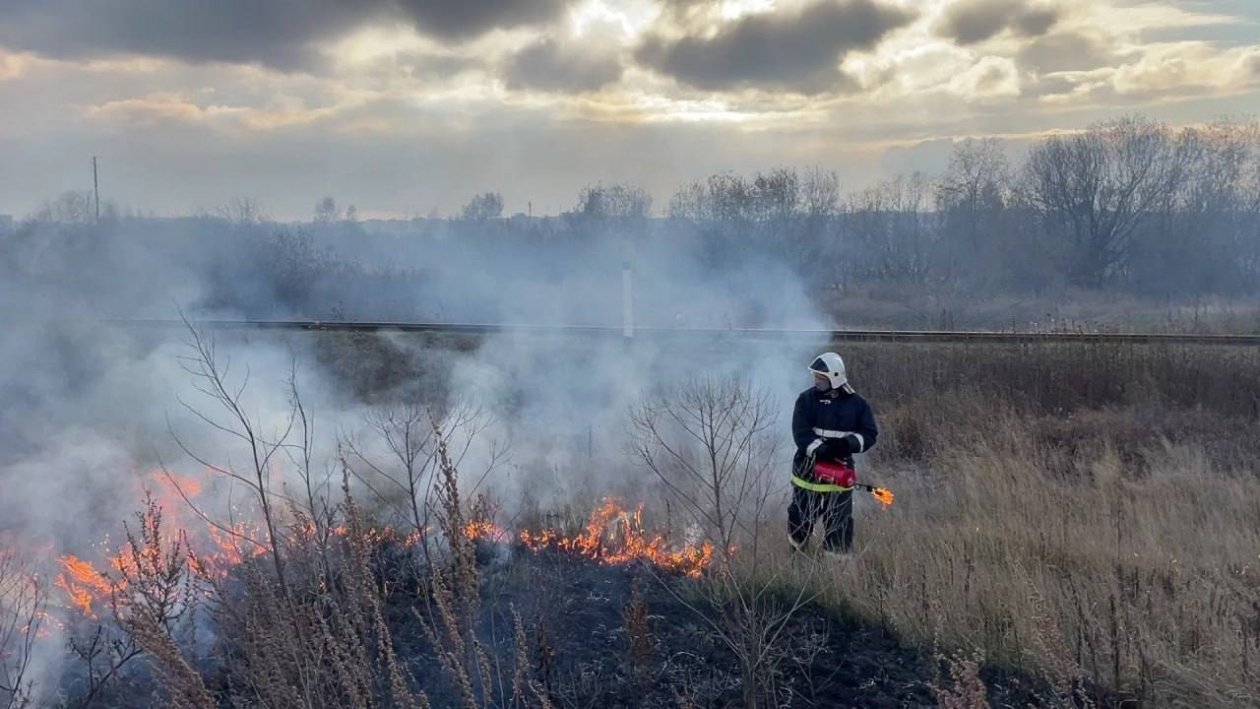 Контролируемые отжиги сухой травы начались в Иркутске Пресс-служба администрации Иркутска