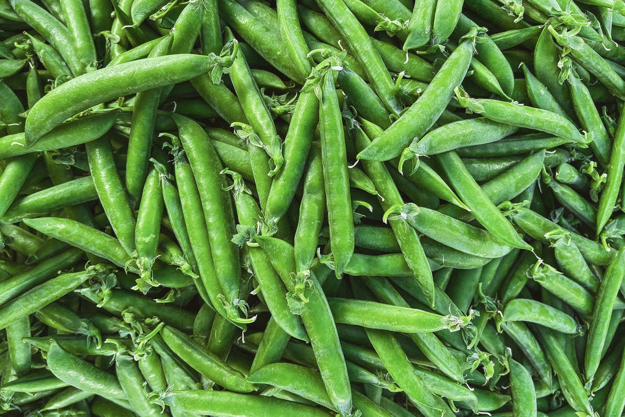 Тематическое фото Мария Смитюк, ИА PrimaMedia