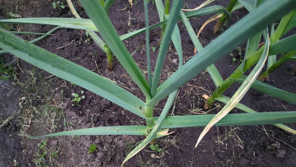 Тематическое фото ИА KrasnodarMedia