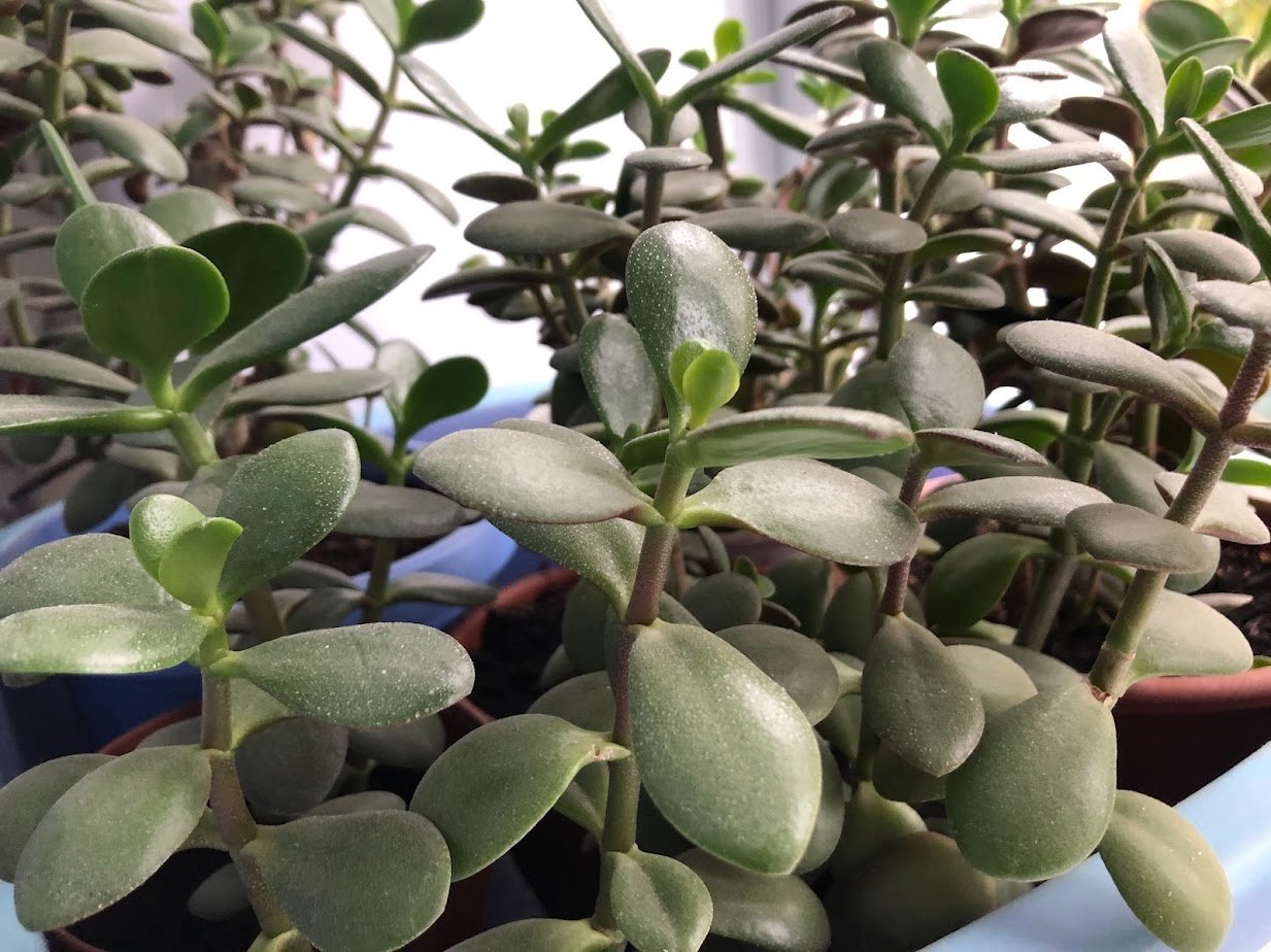 Тематическое фото Артем Дубенчук