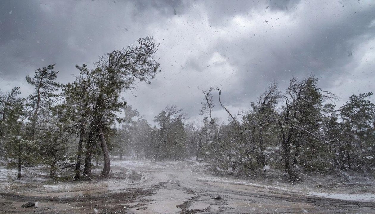 Экстремальная погода создано при помощи ИИ