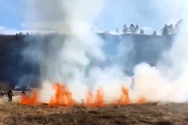 Крупный пожар на 6 гектарах охватил Богородский остров в Улан-Удэ МЧС по Бурятии