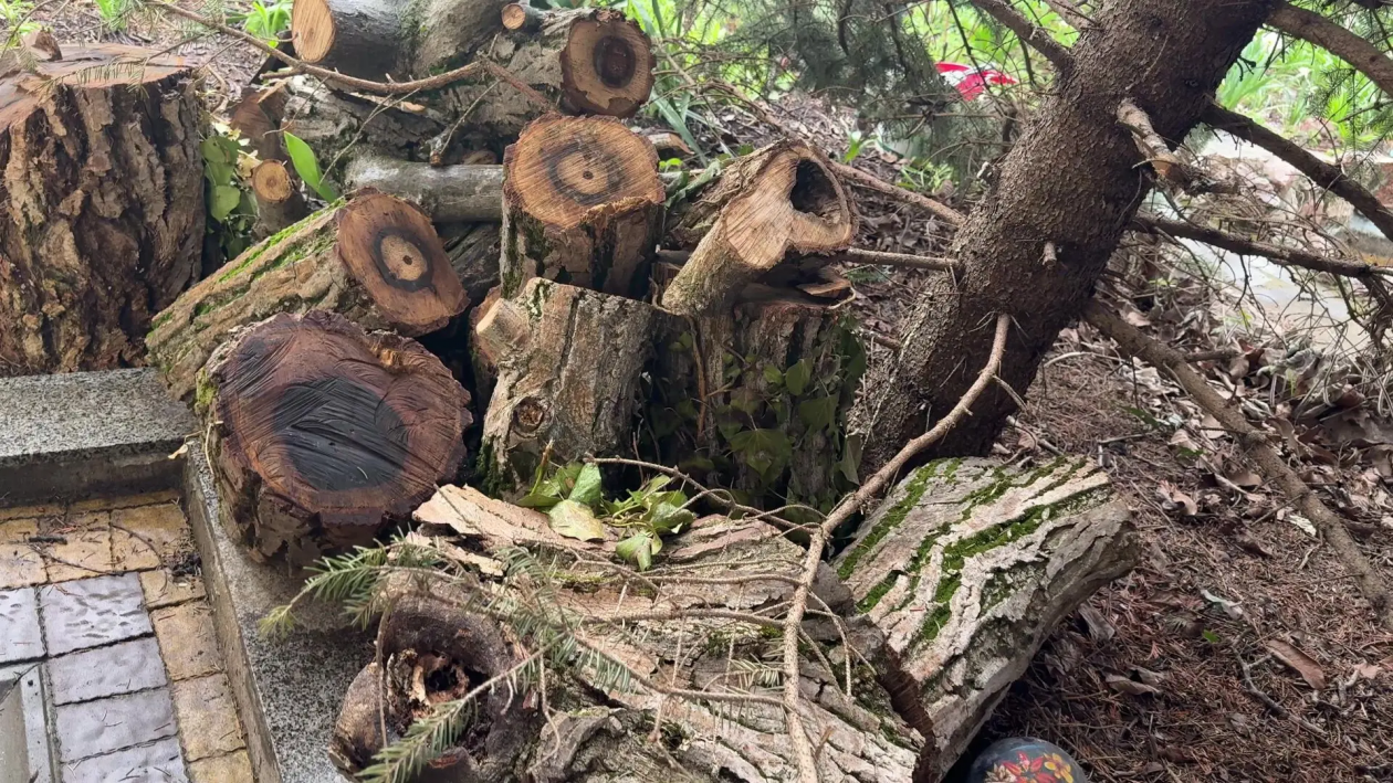 Крымчанка передала бойцам дрова со своего участка Народный фронт Крыма