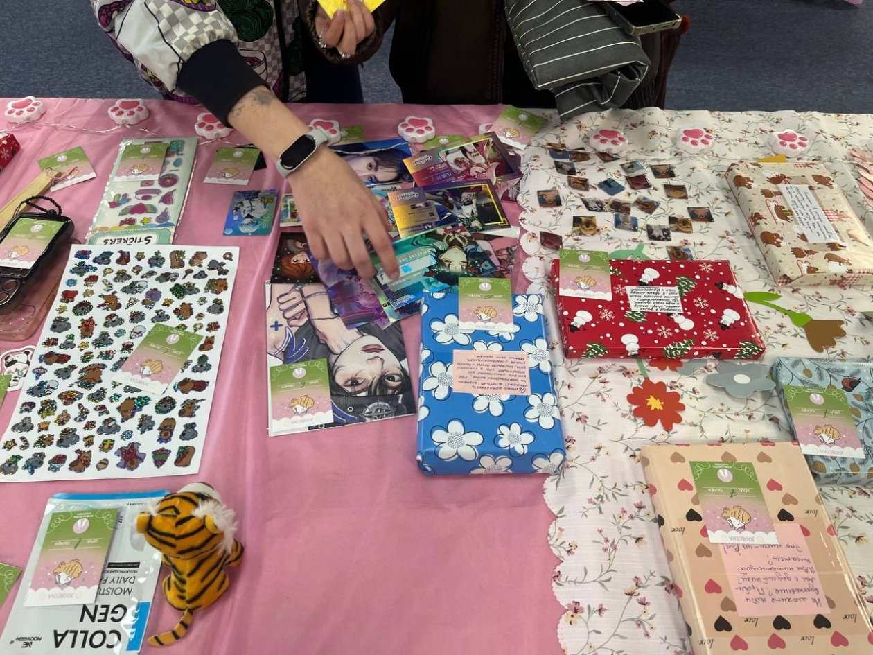 Волонтерский проект &quotЗооВесна&quot во Владивостоке Предоставлено организаторами