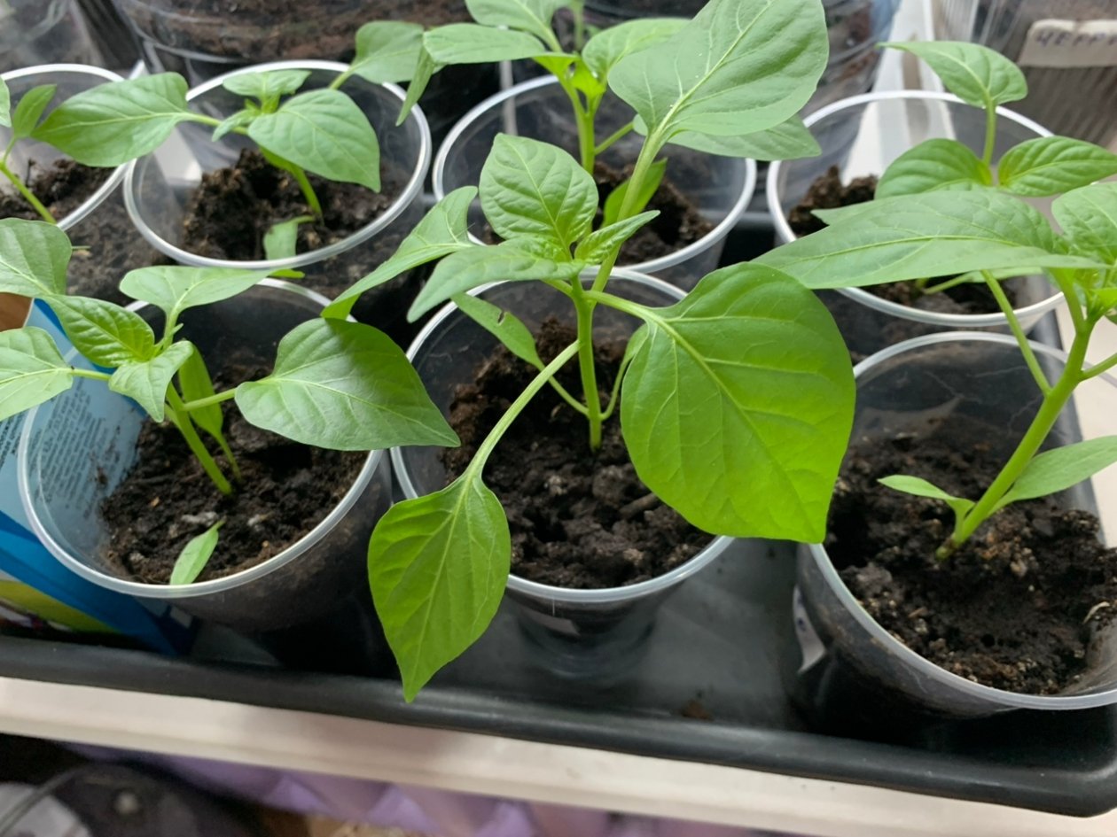 Тематическое фото Фото автора