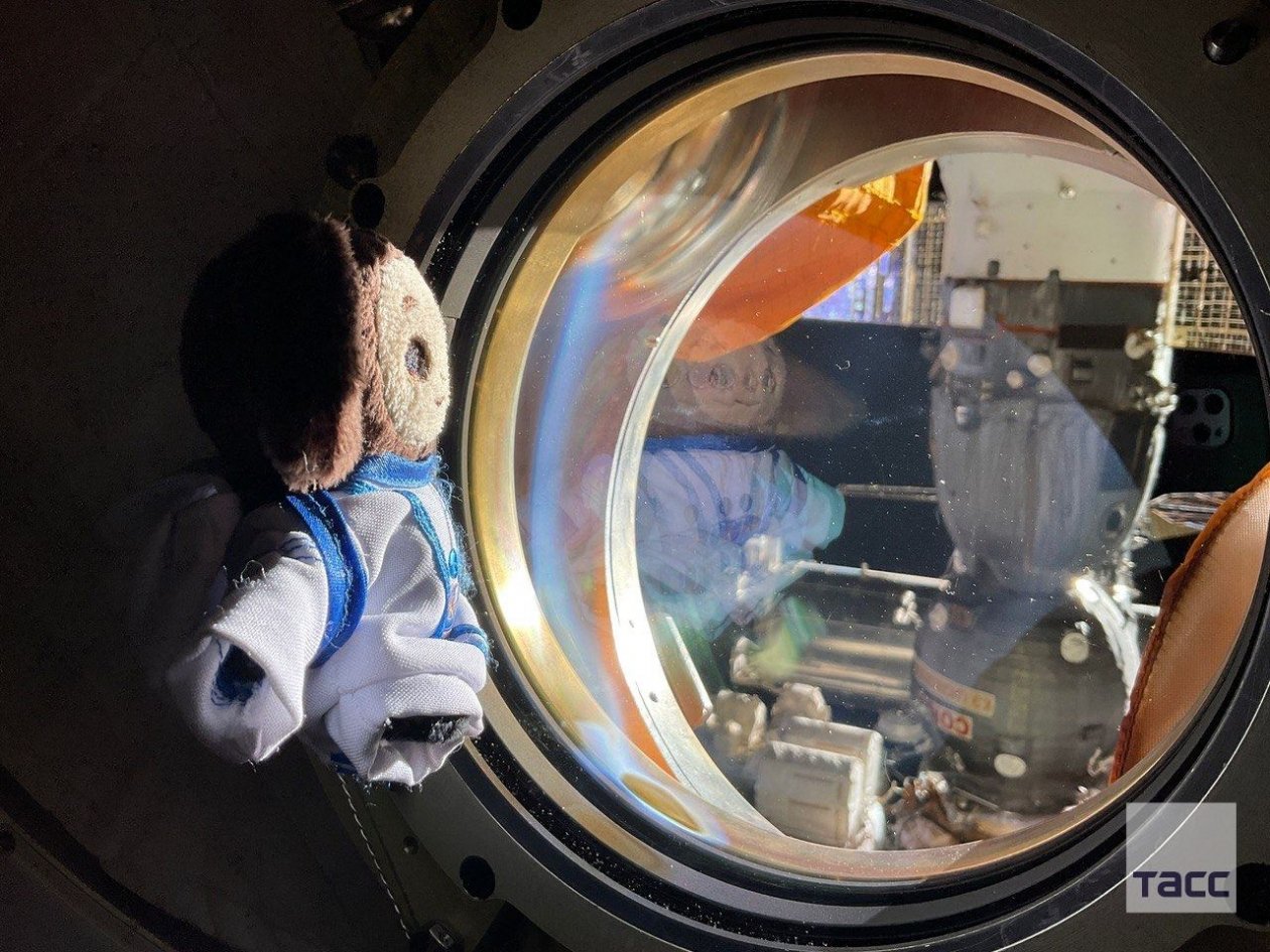 Из тг-канала (18+)