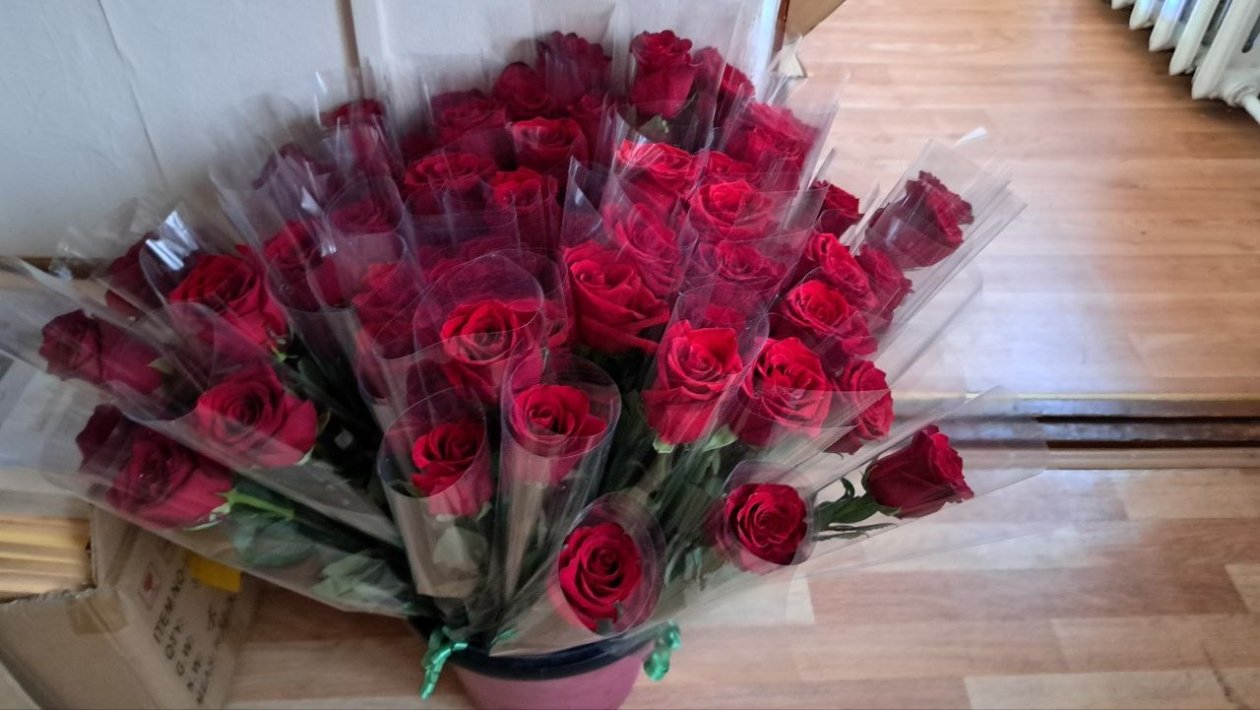 Цветы, розы Ольга Костенко, ИА UssurMedia