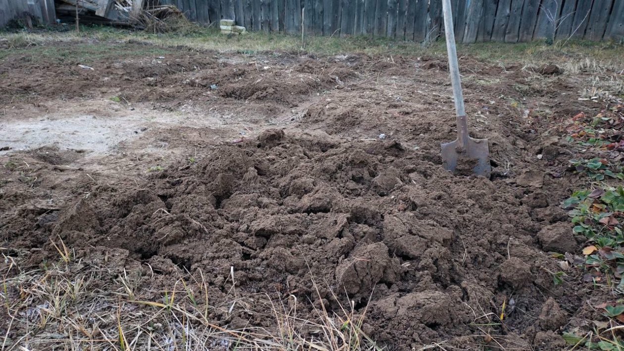 Тематическое фото Автора