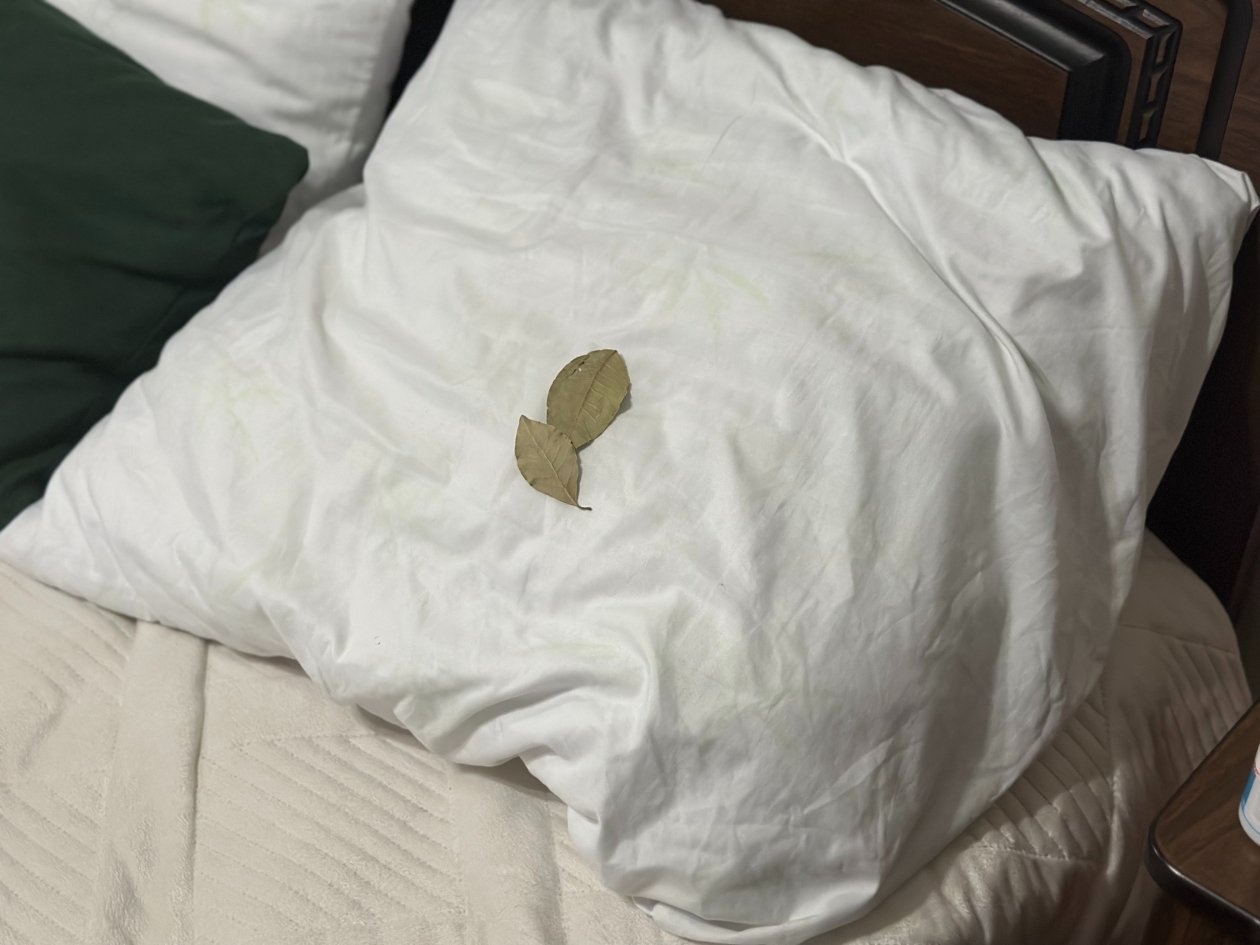 Тематическое фото ИА Stavropol.Media