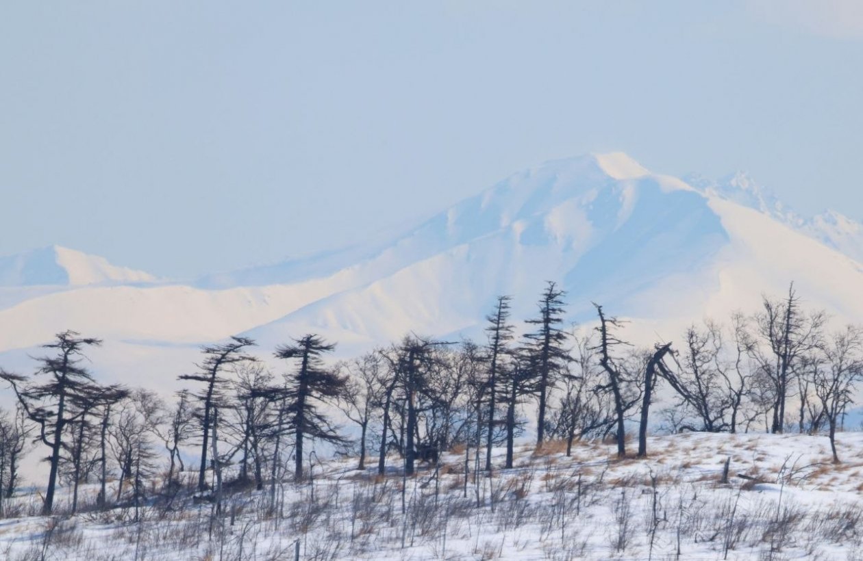 Тематическое фото Юлия Егорова
