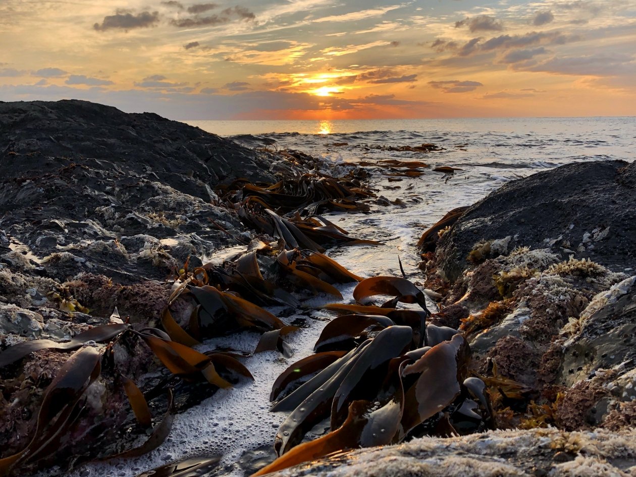 Гороскоп на неделю: Вы почувствуете прилив энергии Максим Мажарин, ИА PrimaMedia