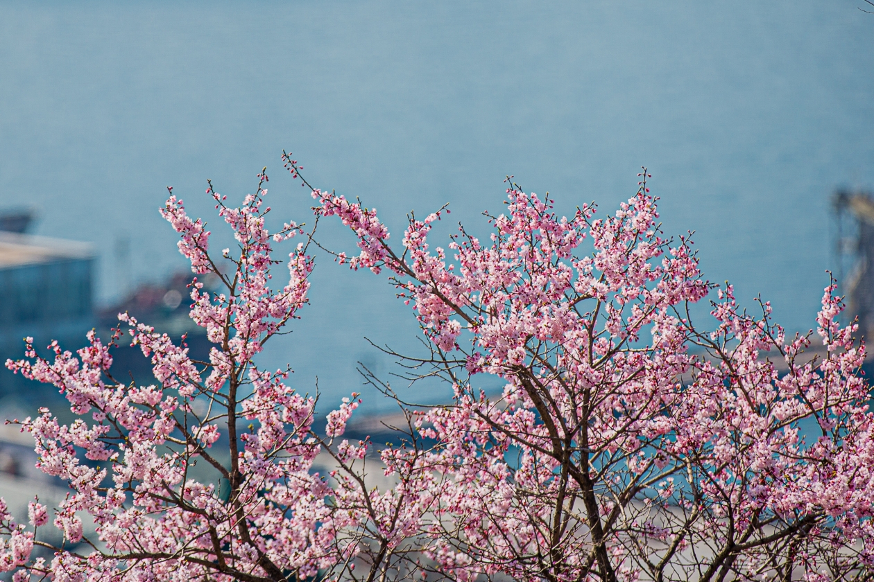 Гороскоп на 13 апреля: Всплывёт то, что вы потеряли из виду Мария Смитюк, ИА PrimaMedia