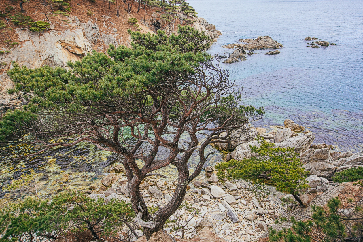 Тематическое фото ИА PrimaMedia